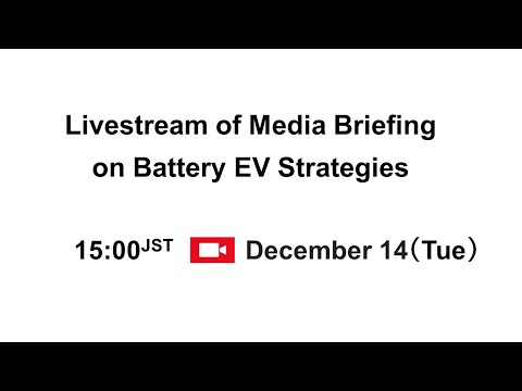 Media Briefing on Battery EV Strategies