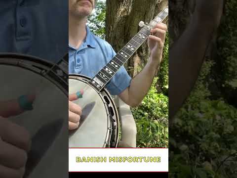 guy in blue shirt playing a banjo under a tree
