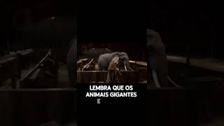 O Que Existia Dentro da Arca de Noé Que a Ciência Ainda Não Explica