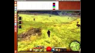 Guild Wars 2 on Ubuntu 12.04 LTS
