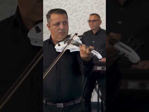 Loredana Ionescu Colaj de Nuntă Cover #trending #LoredanaIonescu #shorts #shortsvideo #mindoiunicu