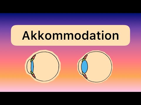Die AKKOMMODATION des Auges (Nahsicht und Fernsicht)