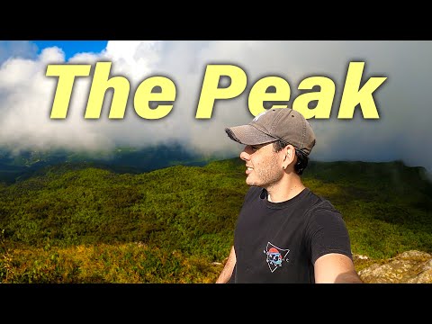 AMAZING El Yunque’s Hike You Shouldn’t Miss | Puerto Rico 🇵🇷