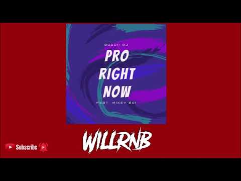 Budda BJ Feat. Mikey Boi - Pro Right Now (Prod By JohnsonBoiBeats)