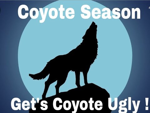 download lagu mp3 mp4 Dog Acting Out Of Character, download lagu Dog Acting Out Of Character gratis, unduh video klip Dog Acting Out Of Character