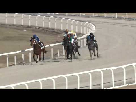 2022.03.20. 04. futam - SZEZONNYITÓ HENDIKEP (V.o.) (szintetikus pálya)