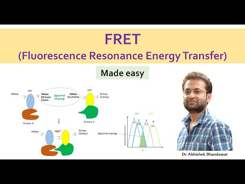 What is FRET (Fluorescence Resonance Energy Transfer) || förster resonance energy transfer