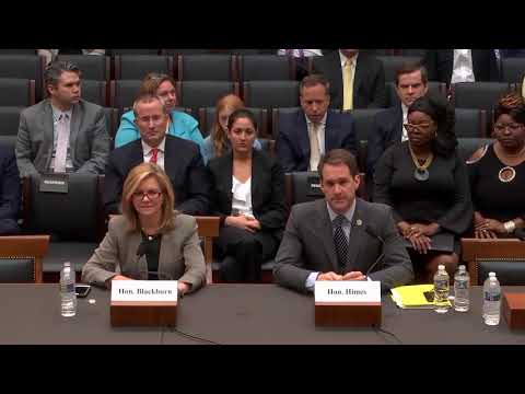 Congressional Overview: A Delicate Balance of Power | Vibepedia