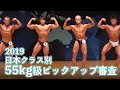 2019日本クラス別ボディビル選手権　55kg以下級ピックアップ審査