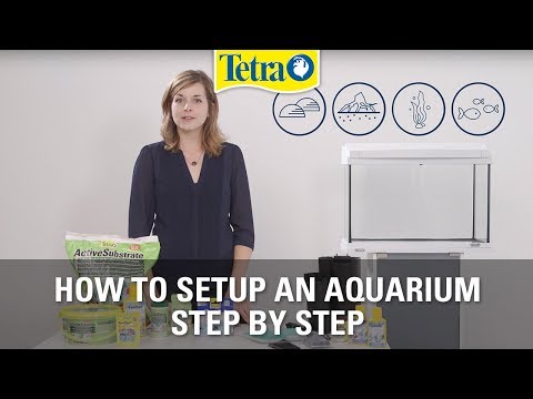 How to set up an aquarium | Fish tank setup step by step