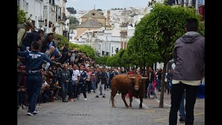 COGIDA! Toro Del Aleluya 2022, Arcos De La Frontera (CÁDIZ)