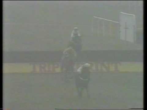 1993 Plymouth Gin Haldon Gold Challenge Cup Chase