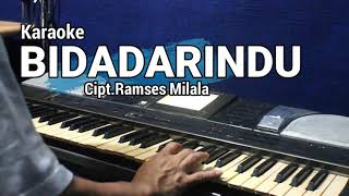 Download lagu BIDADARINDU | Karaoke lagu karo mp3