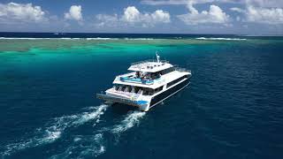 Snorkel in pristine locations teeming with marine life, enjoy a guided snorkeling tour, and relax on the spacious reef vessel. A buffet lunch and informative presentations are included.