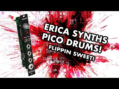 Erica Synths Pico Drums 2014 - Present - Black image 11