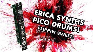 Video thumbnail for Erica Synths Pico Drums - FLIPPIN SWEET! - Overview, Demo, Tutorial by The Rabbit