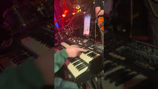 Dog Log 4/5/25 Bierstadt Lagerhaus set 2