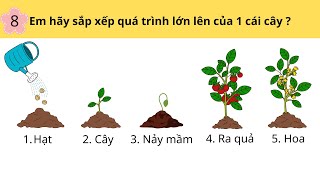 CÂU HỎI TƯ DUY TRẺ MẦM NON 4 ĐẾN 6 TUỔI