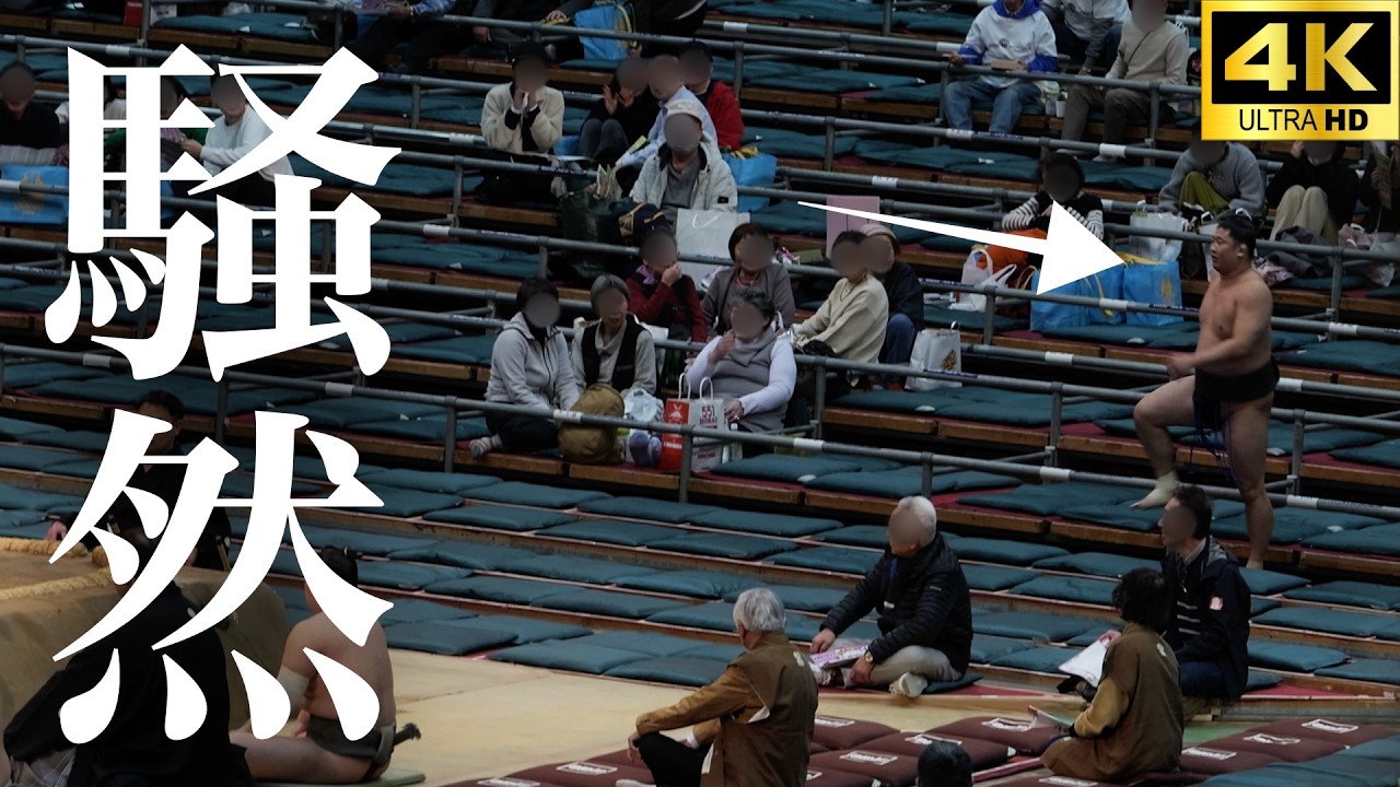 【大相撲】小兵力士十二番まとめ　館内が騒然…土俵の外まで目で追ってしまう一番も【春場所｜sumo】