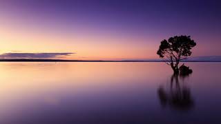 C.M - Love Vibration (37 Degrees)