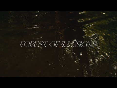 Forest of Illusions - Teaser