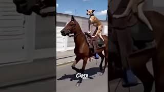 El Perrito Charro #viralvideo