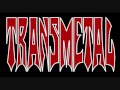 Transmetal-Killers