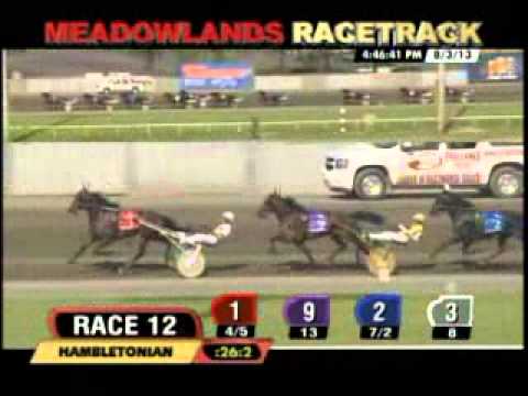Hambletonian Final 2013 -Royalty for Life