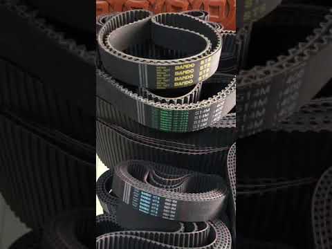 Dây curoa BANDO 8M 14M