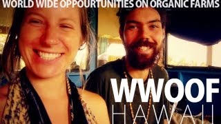 WWOOF Hawaii | Justin & Kea's Farm Tour | The Big Island, HI