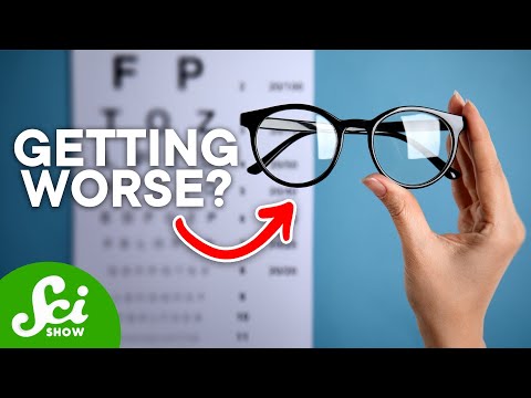 Hogyan írják le a látást