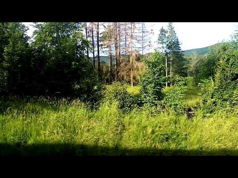 Linia 513 Dărmănești-Cacica în Partestii de Jos 26.06.2021