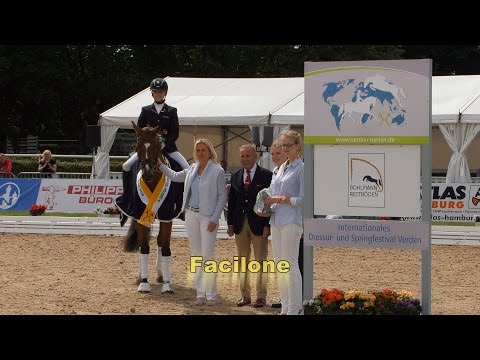 Hannoveraner Reitpferde-Championat 2016 - Vierjährige Stuten und Wallache
