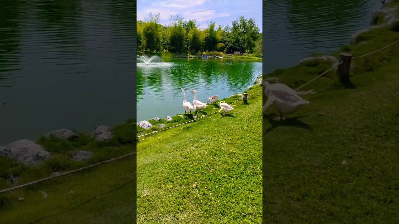 YouTube Short thumbnail