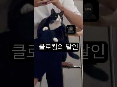 집사 무릎 전용 보호색