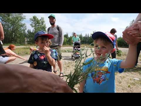 NEVIDITELNÍ, NEVIDITELNÉ / workshop pro děti, pavouky a ostatní