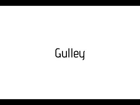 How to pronounce Gulley / Gulley pronunciation