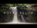 4K | Royal Belum Rainforest