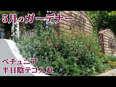 ウィンター ガーデンのエキゾチックなフルーツ 庭の練習