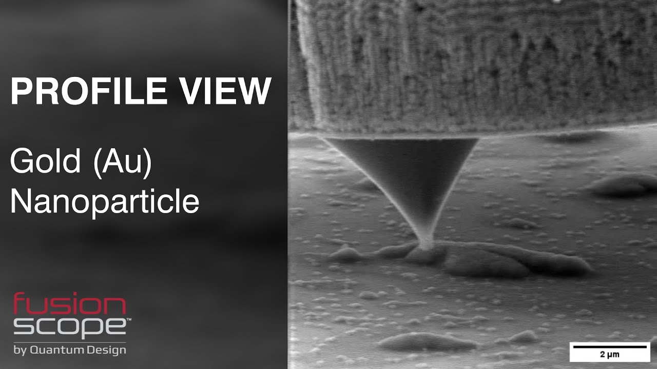 FusionScope® SEM Profile View: Gold Nanoparticle AFM Surface Topography Analysis Software