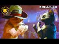 Puss Chases Kitty Into Another Dance Off Antonio Banderas Salma Hayek Puss In Boots