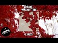 Keane - Walnut Tree | Lyrics