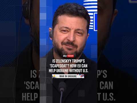 Is Zelenskyy Trump's 'scapegoat'? How EU can help Ukraine without US
