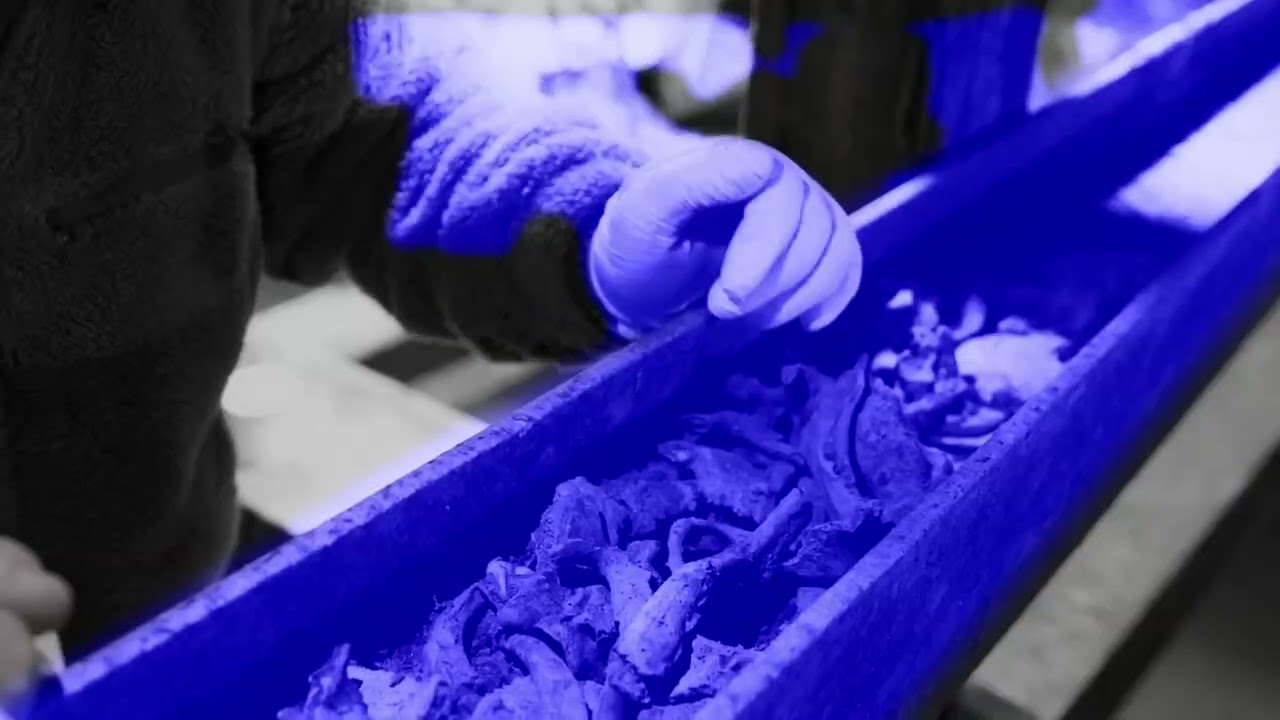 코발트 cobalt | 한국경쟁 Korean Competition | 17TH DMZ Docs Trailer