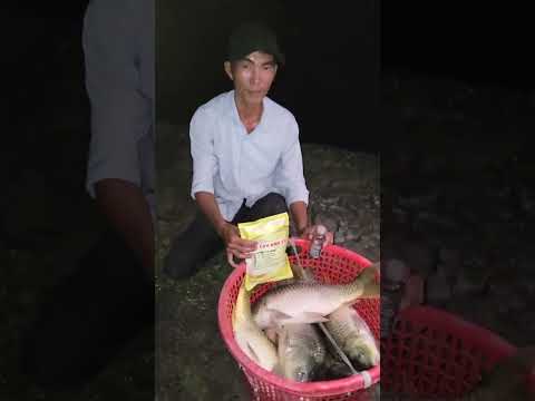 Khách báo cá thành quả câu được với mồi câu HMK K4