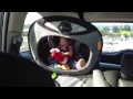 Elmo In Car