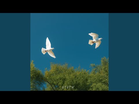Passarinhos - Ototh