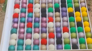 Ball Colors Sorting:  Beat the Clock!
