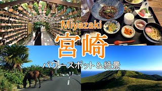 絶景の連続！宮崎おすすめ観光スポット 青島神社〜鵜戸神宮〜都井岬【九州1周新婚旅行 2日目】