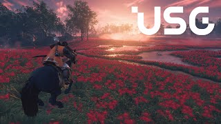 [閒聊]《捍衛任務4》導演談《對馬戰鬼》真人電影